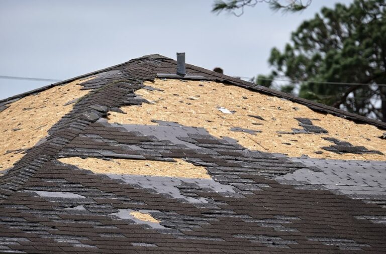 storm damage in Sandwich, IL